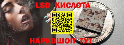 дживик Кандалакша