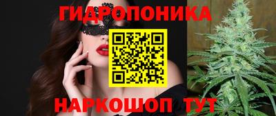 ешки Канаш