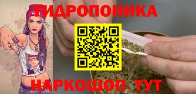 ешки Канаш